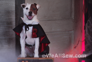 DIY Dog Cape