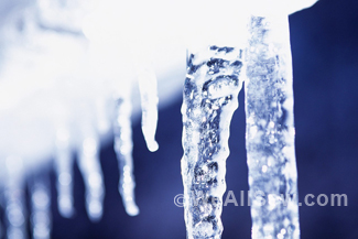 DIY WInter Holiday Projects