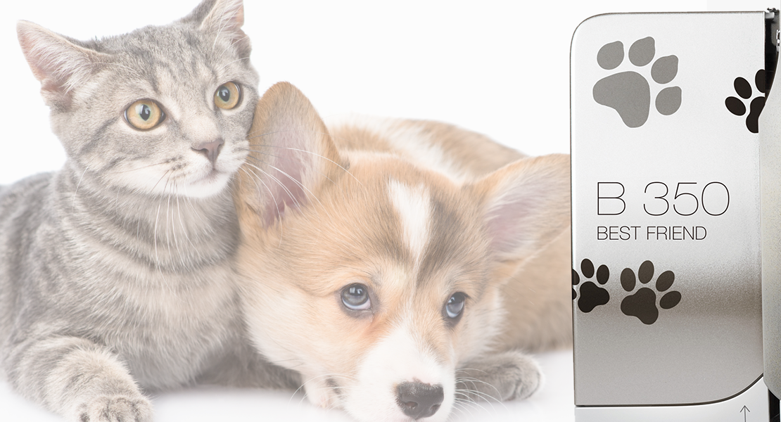 BERNINA's Quilts for Furry Friends Facebook Contest