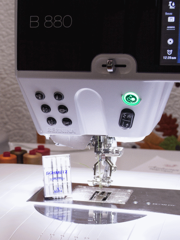 Hand-Embroidery-by-Machine-1200-x-1600-BERNINA-WeAllSew-Blog-NEEDLE