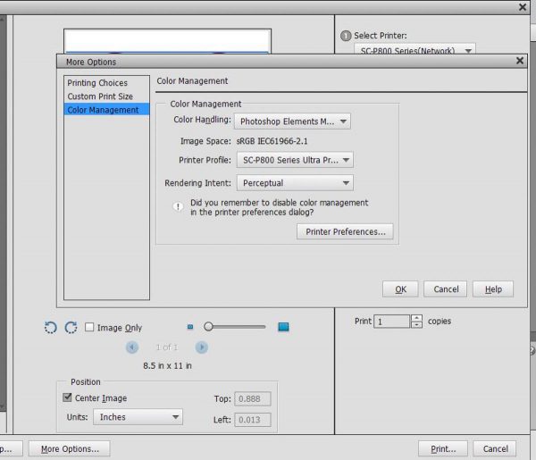Stitched Photo Ornament-Manage Colors