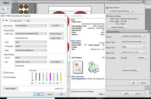 Stitched Photo Ornament-Work with Advanced Settings