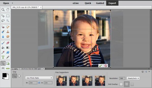 Stitched Photo Ornament-crop the image