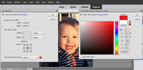Stitched Photo Ornament-change the canvas size to 4x4