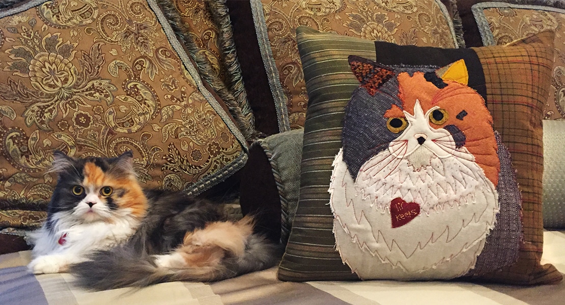 Applique Pillow Tutorial