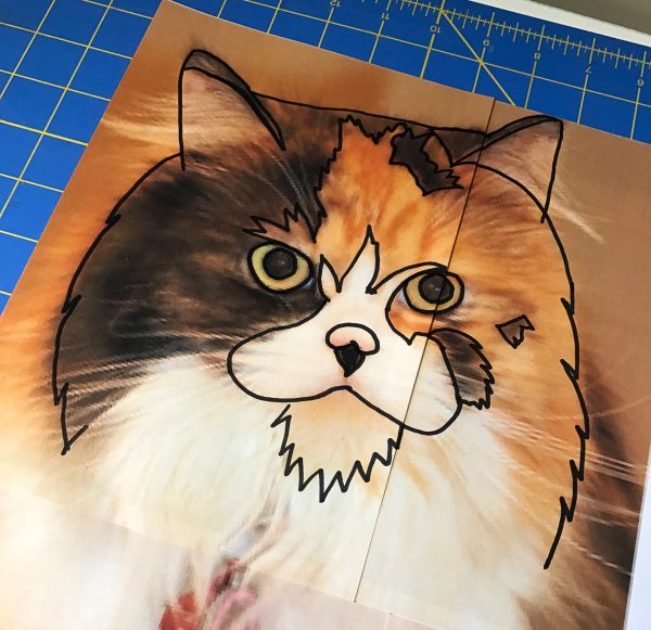 Pet Applique Pillow-trace areas