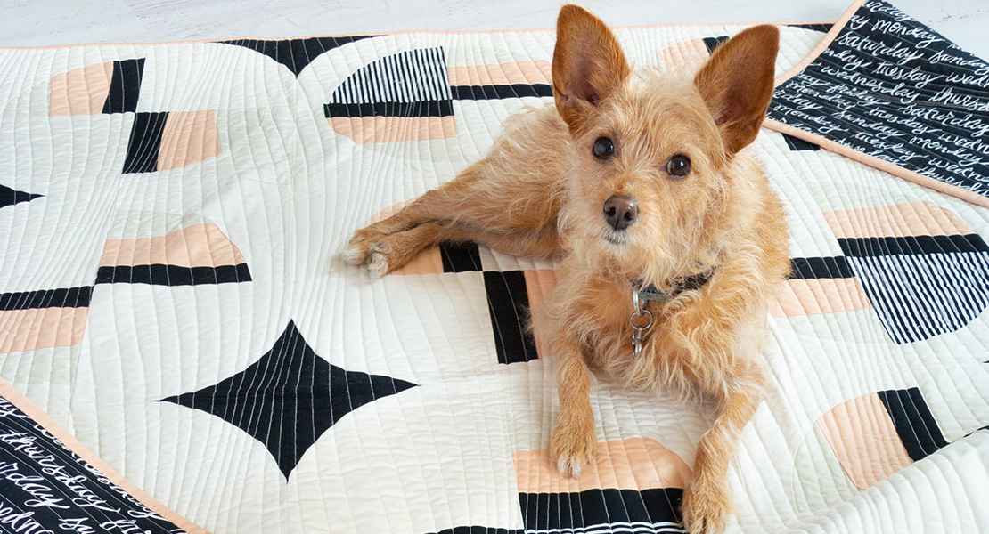 Modern Fans Quilt-along with Suzy Quilts and Scrappy