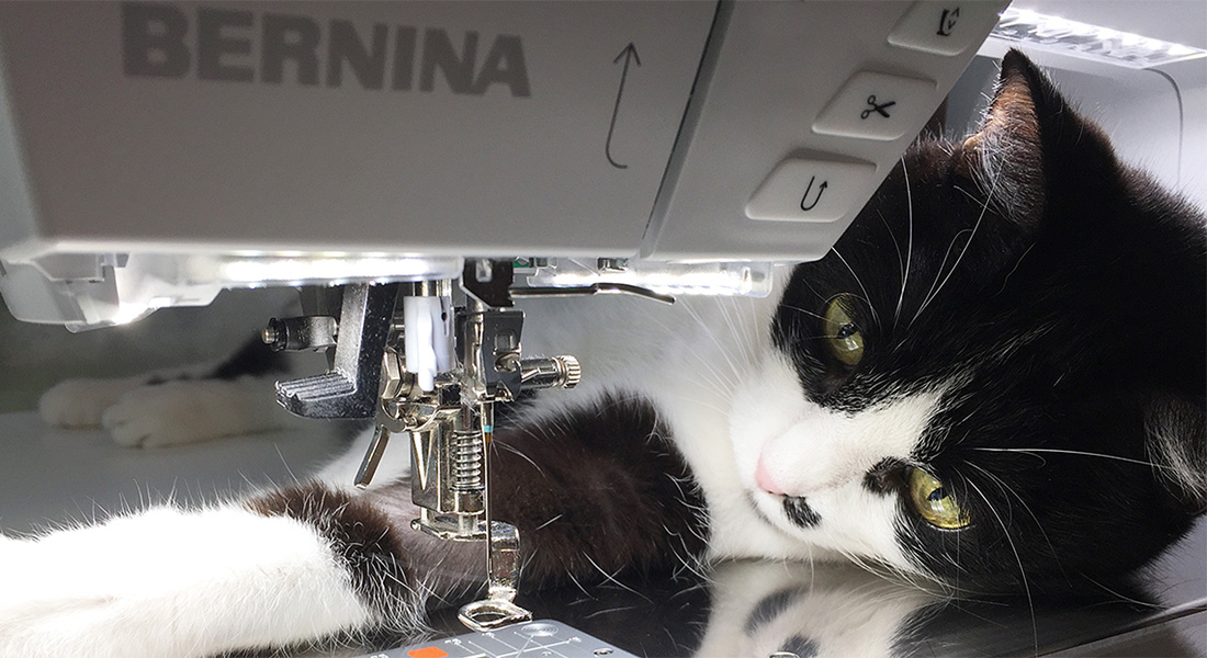 My Favorite Features of the BERNINA 770 QE