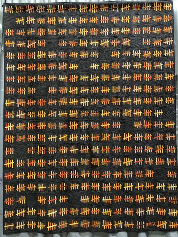 This is what four years looks like QuiltCon 2019 at WeAllSew