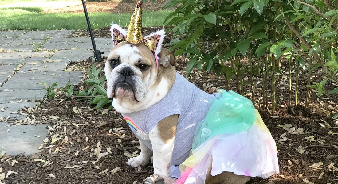 Unicorn Headband Tutorial at WeAllSew