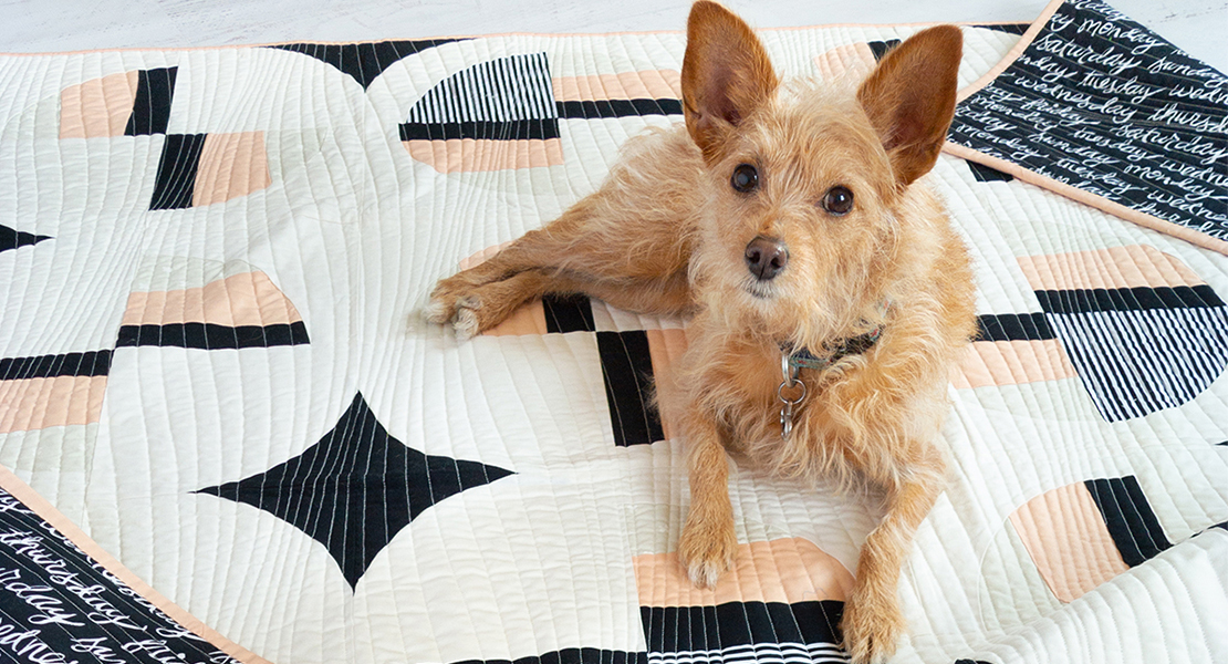 Sew to Serve Animal Rescue