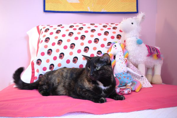 Speedy Pillowcase Tutorial from WeAllSew