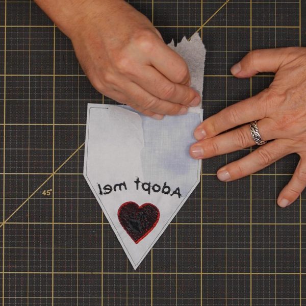 Pet_Bandana_Remove_Stabilizer