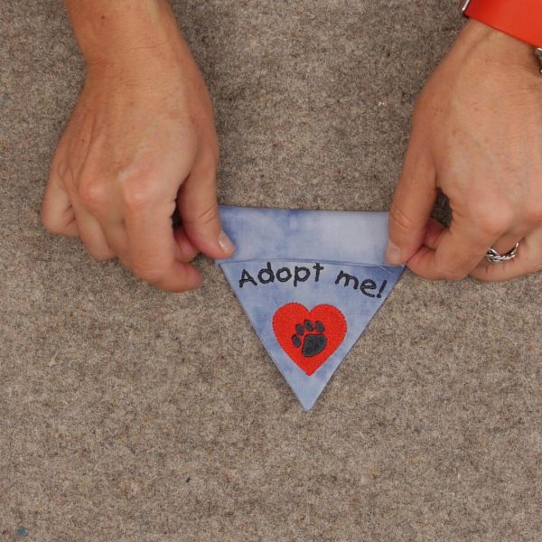 Pet_Bandana_Fold