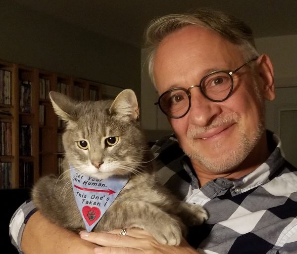 Pet_Bandana_Kiki_and_Sylvain