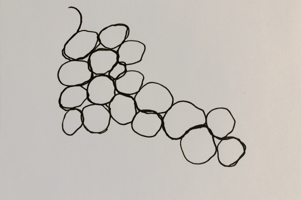 Free-Motion_Quilted_Placemats_Pebbles_Drawn