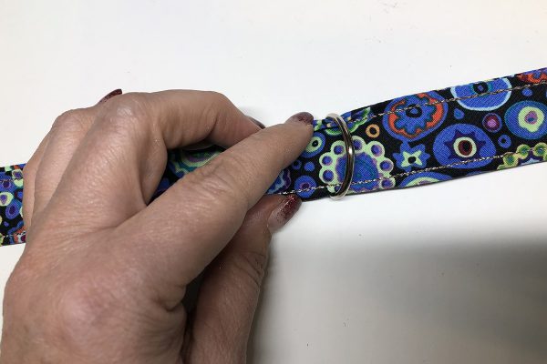 Dog_Collar_D_Ring