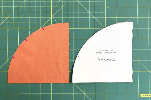 Passiflora Quilt Along_template