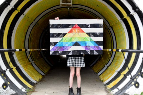 Straight Ally Pride Quilt Tutorial part 2 by Erika Mulvenna