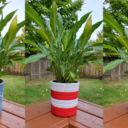 How to Sew a Flower Pot Wrap BERNINA WeAllSew Blog Feature 1100x600
