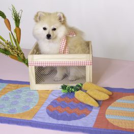 Easter Egg Sew Along feature BERNINA-WeAllSew Blog