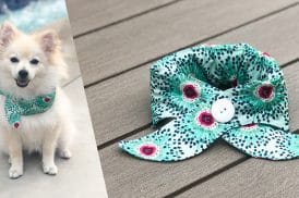 Dog Cooling Collar Tutorial BERNINA WeAllSew Blog 11180 x 600
