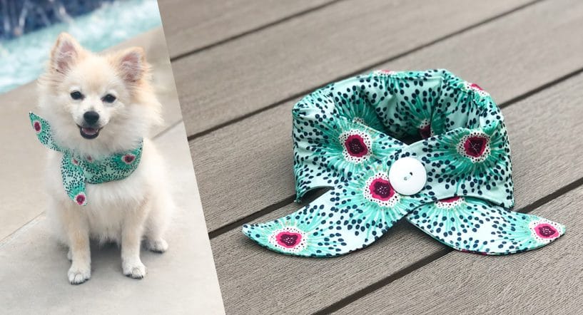 Dog Cooling Collar Tutorial BERNINA WeAllSew Blog 11180 x 600