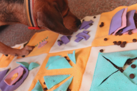 Sew your own snuffle mat featured image
