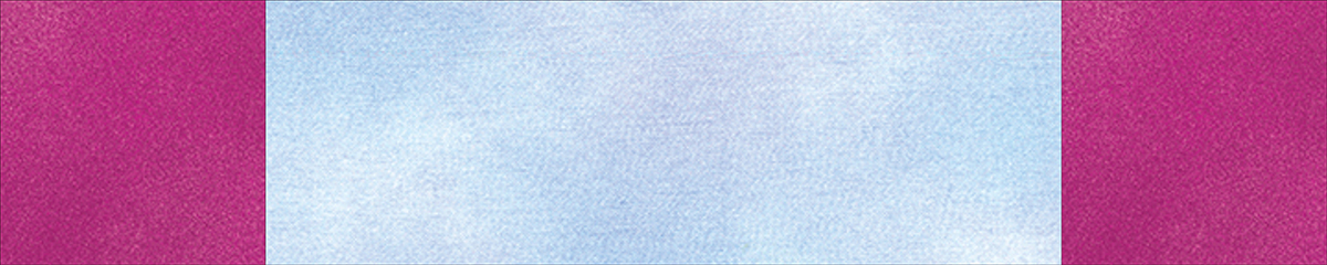 Month_3_Jump_for_Joy_07_topbottomBERNINA_WeAllSew_Blog_1200x240px