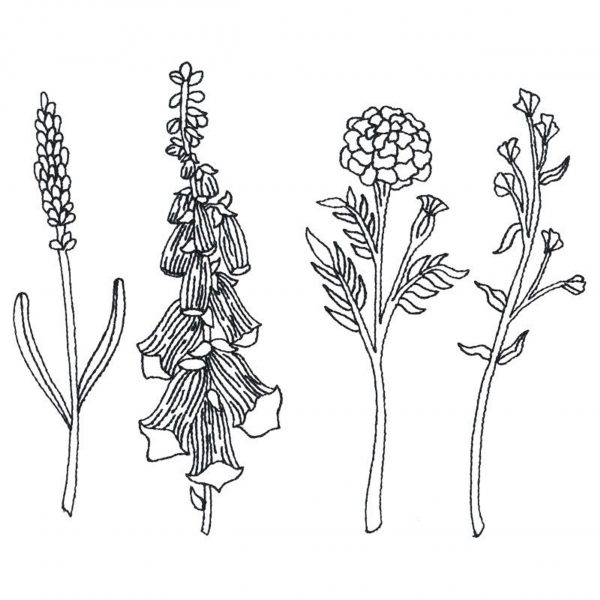 Line work embroidery design with low stitch density. Floral Row 1 Large - OESD