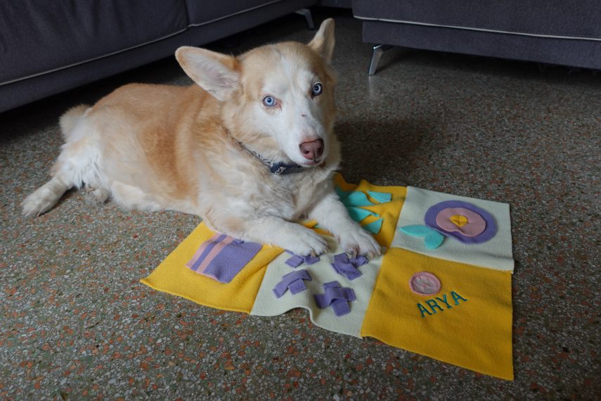 snuffle mat